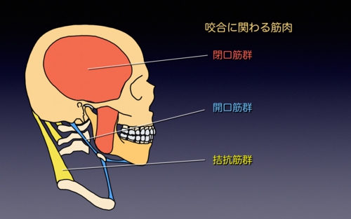 2012031882b782d782c482cd82c282c882aa82c182c482a282e91.1.001.jpeg
