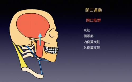 2012031882b782d782c482cd82c282c882aa82c182c482a282e91.1.002.jpeg