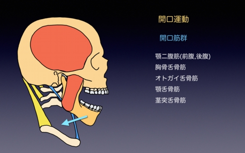 2012031882b782d782c482cd82c282c882aa82c182c482a282e91.1.003.jpeg