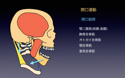 2012031882b782d782c482cd82c282c882aa82c182c482a282e91.1.004.jpeg