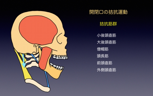 2012031882b782d782c482cd82c282c882aa82c182c482a282e91.1.005.jpeg
