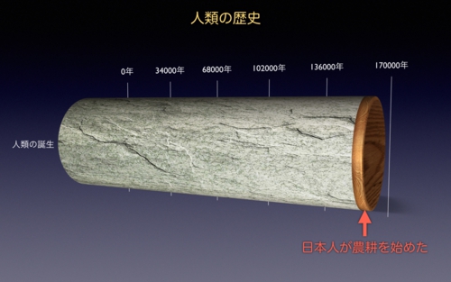 2012031882b782d782c482cd82c282c882aa82c182c482a282e91.1.011.jpeg